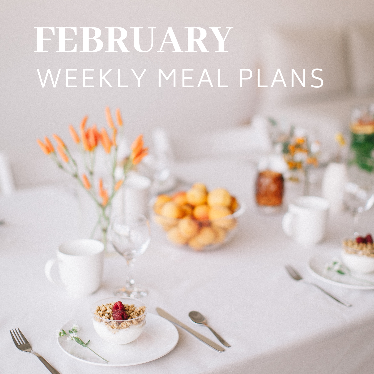 February Weekly Meal Plans